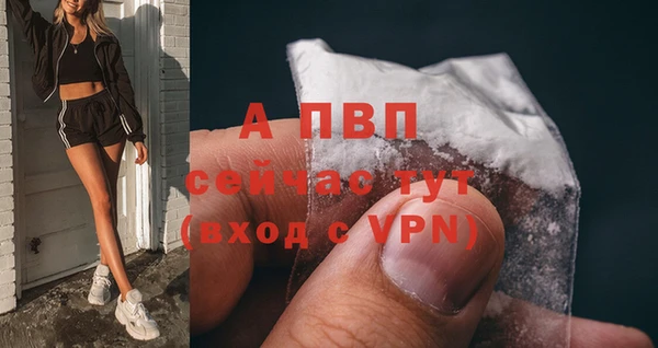 молекула духа Новозыбков