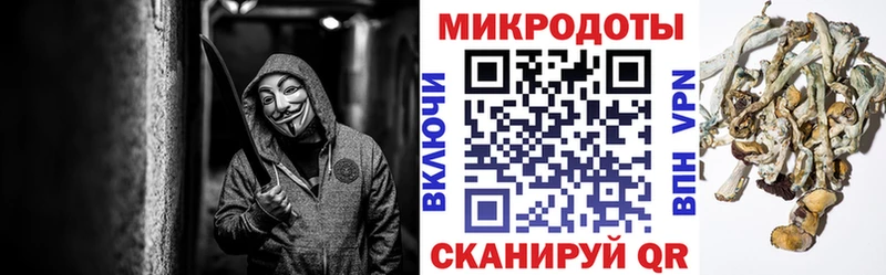 Галлюциногенные грибы GOLDEN TEACHER  Фрязино 